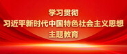 大鸡巴操肥屄视频学习贯彻习近平新时代中国特色社会主义思想主题教育_fororder_ad-371X160(2)